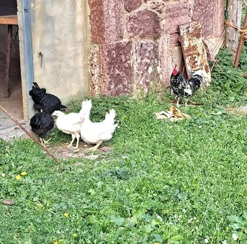 Hotel Mirador De Ubiñas Ríospaso