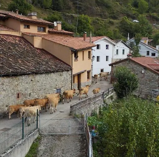 Mirador De Ubiñas Hotel Ríospaso