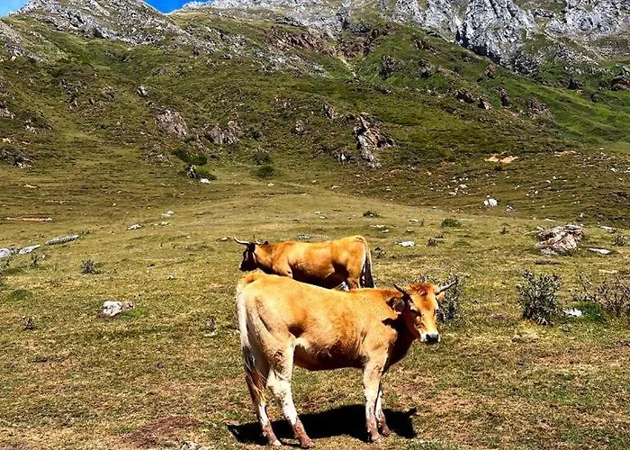 Mirador De Ubiñas 2* Ríospaso